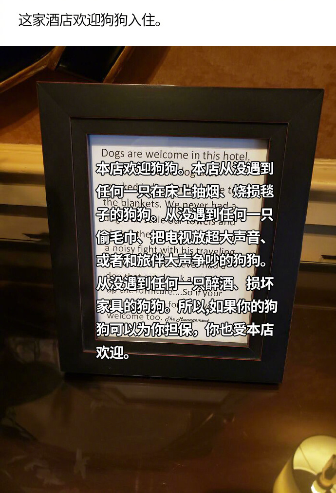 狗狗也能进酒店了社会gif搞笑图片