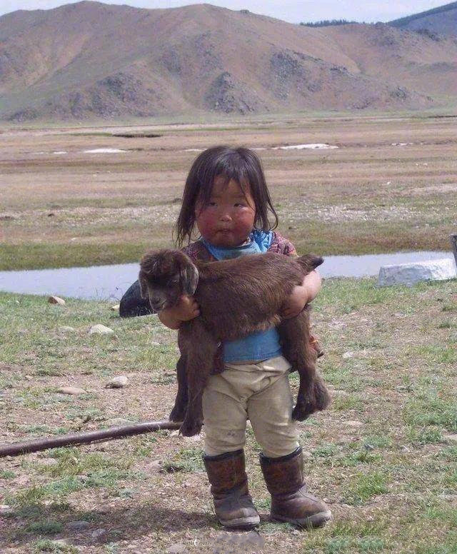 西藏的小女孩看见摄影师在拍照，于是立马抱起身边的小伙伴。社会gif搞笑图片