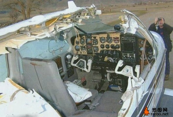 鸟与飞机相撞社会gif搞笑图片