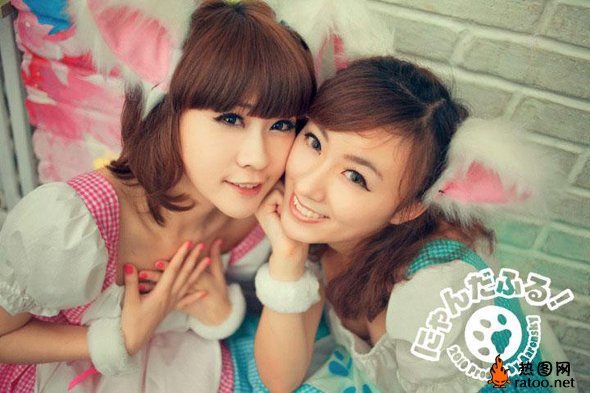 猫娘咖啡馆兽耳女仆社会gif搞笑图片