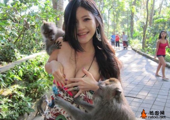 猴抓妹照片社会gif搞笑图片