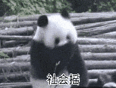 社会摇这一块，我说第二没人敢说第一社会gif搞笑图片