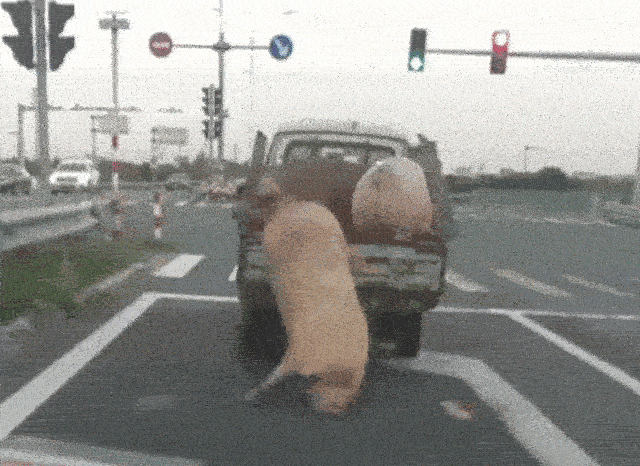 二师兄跳车了社会gif搞笑图片