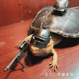 看看还缺啥社会gif搞笑图片