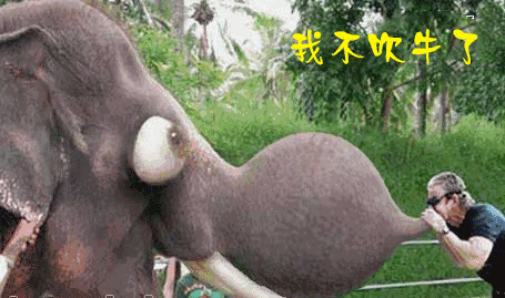 现在吹什么牛，要改吹大象了社会gif搞笑图片
