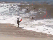 大海:想玩冲浪，给你玩个够社会gif搞笑图片