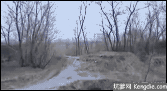 活着不好吗？非得作死社会gif搞笑图片