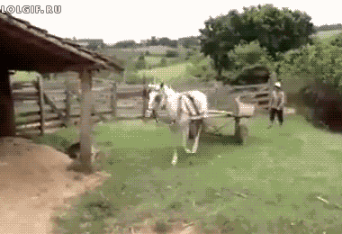 马还能自己倒车入库社会gif搞笑图片