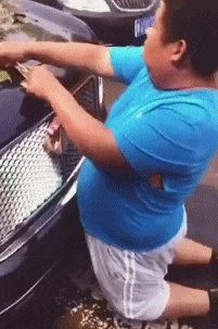 知道这车标多少钱你就掰？小心赔死你社会gif搞笑图片