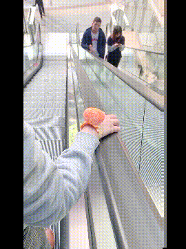 你们这是什么暗号社会gif搞笑图片