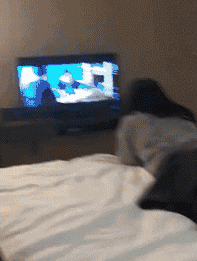 第一次跟女朋友住酒店，接下来该怎么办社会gif搞笑图片