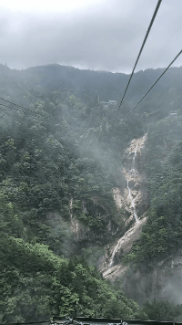 我们灵魂在后面追赶社会gif搞笑图片