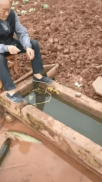 你大爷还是你大爷，总会找出个新玩法出来社会gif搞笑图片