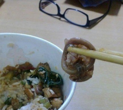 食堂饭菜异物恶心图片社会gif搞笑图片