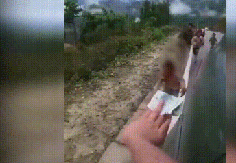 行驶汽车车窗递钱给孩子取乐社会新闻图社会gif搞笑图片