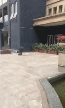 小孩板砖砸流浪猫虐待动物动态图社会gif搞笑图片