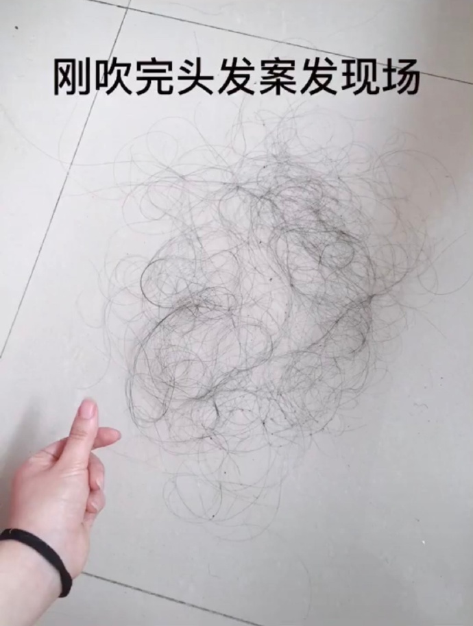 脱发少女的掉发量图社会gif搞笑图片