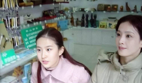 刘亦菲和妈妈合照图社会gif搞笑图片