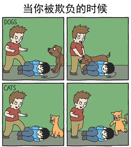 养猫和养狗的区别动漫图​​​​社会gif搞笑图片