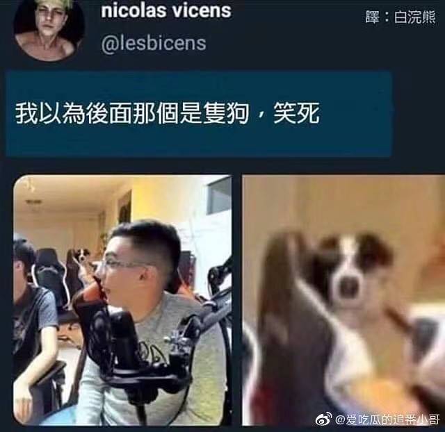 我也以为是只狗社会gif搞笑图片