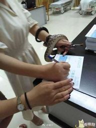 姑娘你这要走大街上就是最亮的仔社会gif搞笑图片