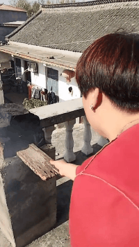 老娘：翠花你给我下来，看我今天不打断你的腿社会gif搞笑图片