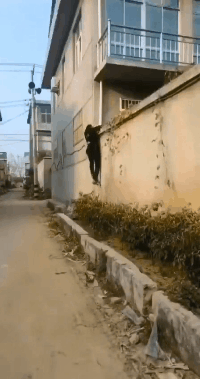 这年头做个隔壁老王不容易呀社会gif搞笑图片