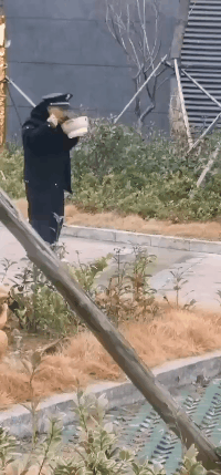 保安，你吃的是全家桶吗？社会gif搞笑图片