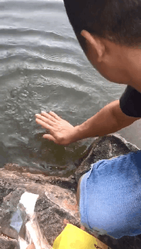 吃饭啦，快出来社会gif搞笑图片