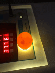 一手养大的鸭子，真香社会gif搞笑图片