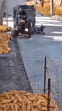 这哥们把这一辈子的运气全用光了社会gif搞笑图片