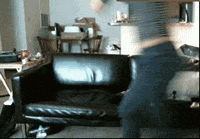 你男朋友来了就这么激动？社会gif搞笑图片