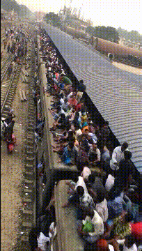 第一次来印度坐火车，不知道能不能上去社会gif搞笑图片