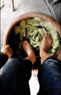 这是一道有味道的菜社会gif搞笑图片