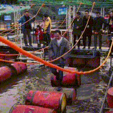 大爷：这种游戏简直是不要太简单社会gif搞笑图片