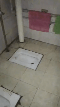 这是世界上第一个上厕所不用带纸的厕所社会gif搞笑图片