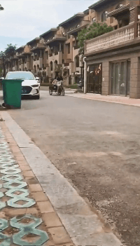 两位美女刚才肯定是去秋名山上兜了一圈社会gif搞笑图片