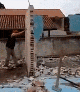 墙：我跟你后面的墙是兄弟，我倒了它也回倒社会gif搞笑图片