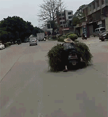 高手！交警叔叔在哪里，这里有人不服社会gif搞笑图片