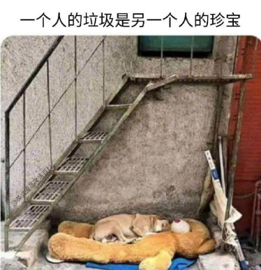 一个人的垃圾是另一个人的珍宝社会gif搞笑图片