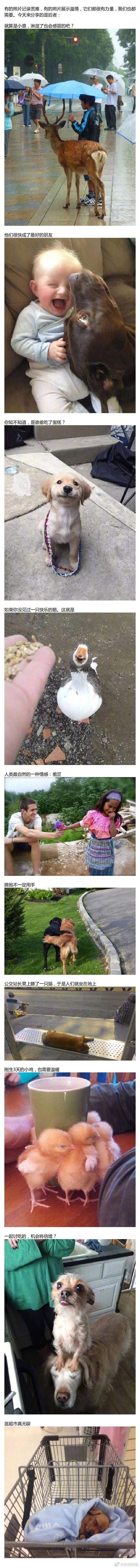 一组能让人微笑的照片社会gif搞笑图片