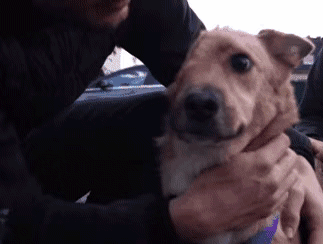 为了救小孩子，被人贩子砍了半边脸，愿你余生快乐。社会gif搞笑图片