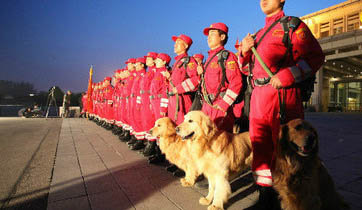 他们深入灾区救援、引导盲人、在危险地带搜索，把希望留给别人、社会gif搞笑图片