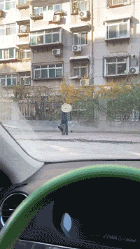 你大爷还是你大爷，操作基本上做不来社会gif搞笑图片