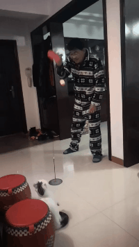 自从养了这只猫，下班回家在也不无聊了社会gif搞笑图片