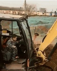 开挖机要从小学起社会gif搞笑图片