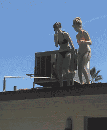 妹子屋顶跳水体育gif搞笑图片