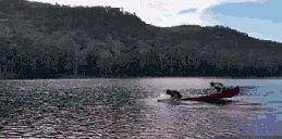 没有桨照样乘风破浪体育gif搞笑图片