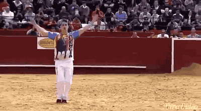 斗牛士不愧是斗牛士，躲得真及时体育gif搞笑图片