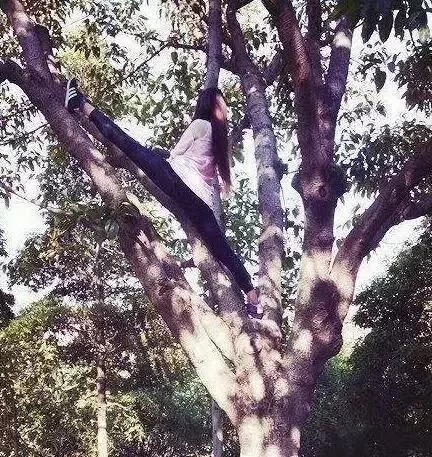 高难度动作体育gif搞笑图片